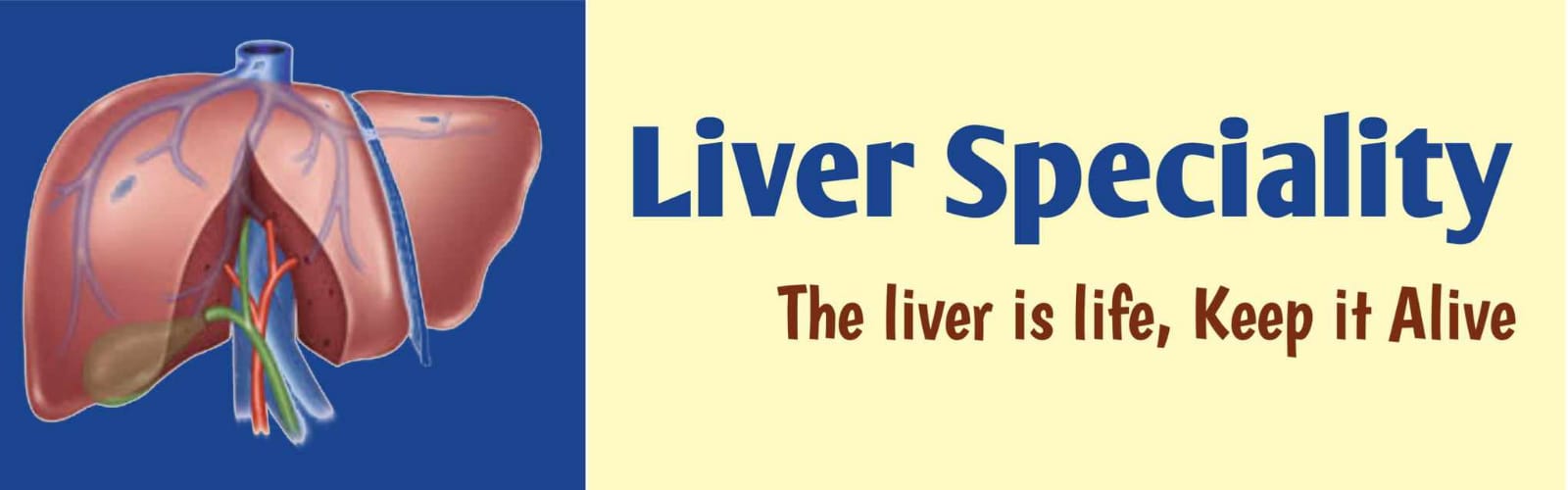 Liver Tumors Liver Speciality